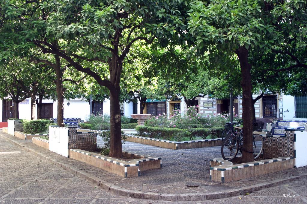 Hotel Dona Lina Seville Exterior photo
