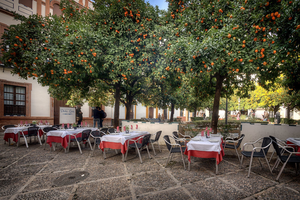 Hotel Dona Lina Seville Exterior photo